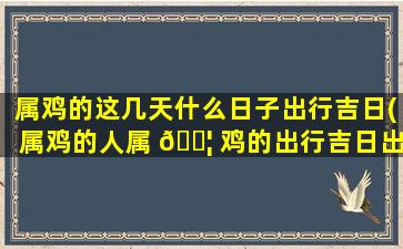 属鸡的这几天什么日子出行吉日(属鸡的人属 🐦 鸡的出行吉日出行如 ☘ 何)